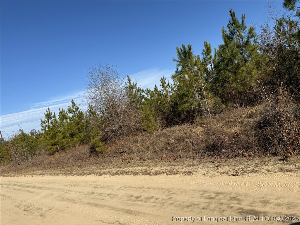 Tbd Plantation Road Laurinburg, NC 28352 - Photo 4 of 9
