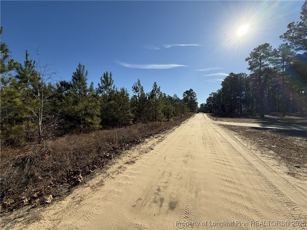 Tbd Plantation Road Laurinburg, NC 28352 - Photo 7 of 9