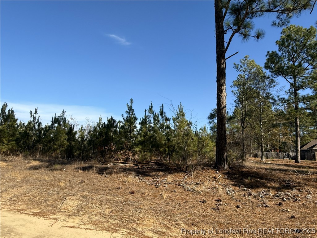 Tbd Plantation Road Laurinburg, NC 28352 - Photo 9 of 9