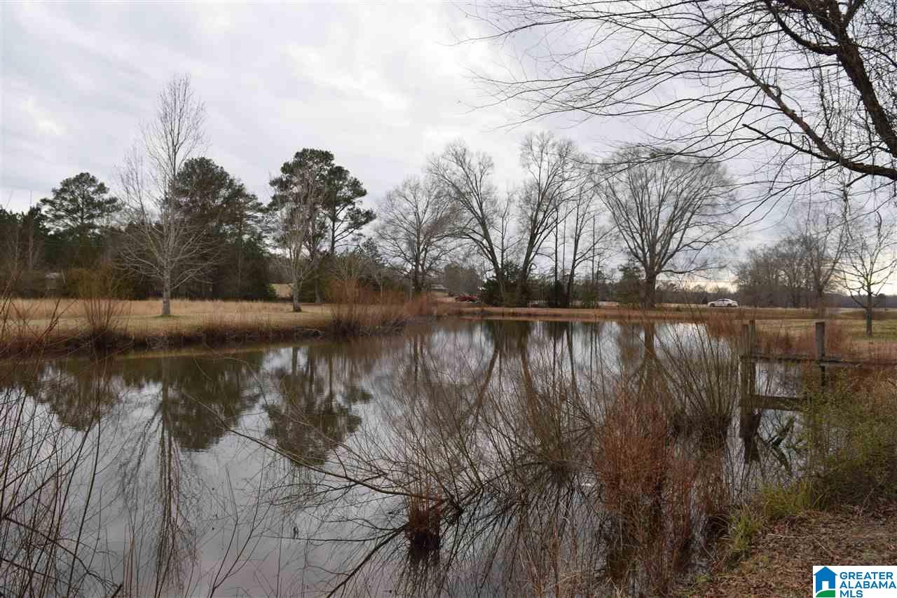 11218 Vance Blocton Road Vance, AL 35490 - Photo 5 of 37