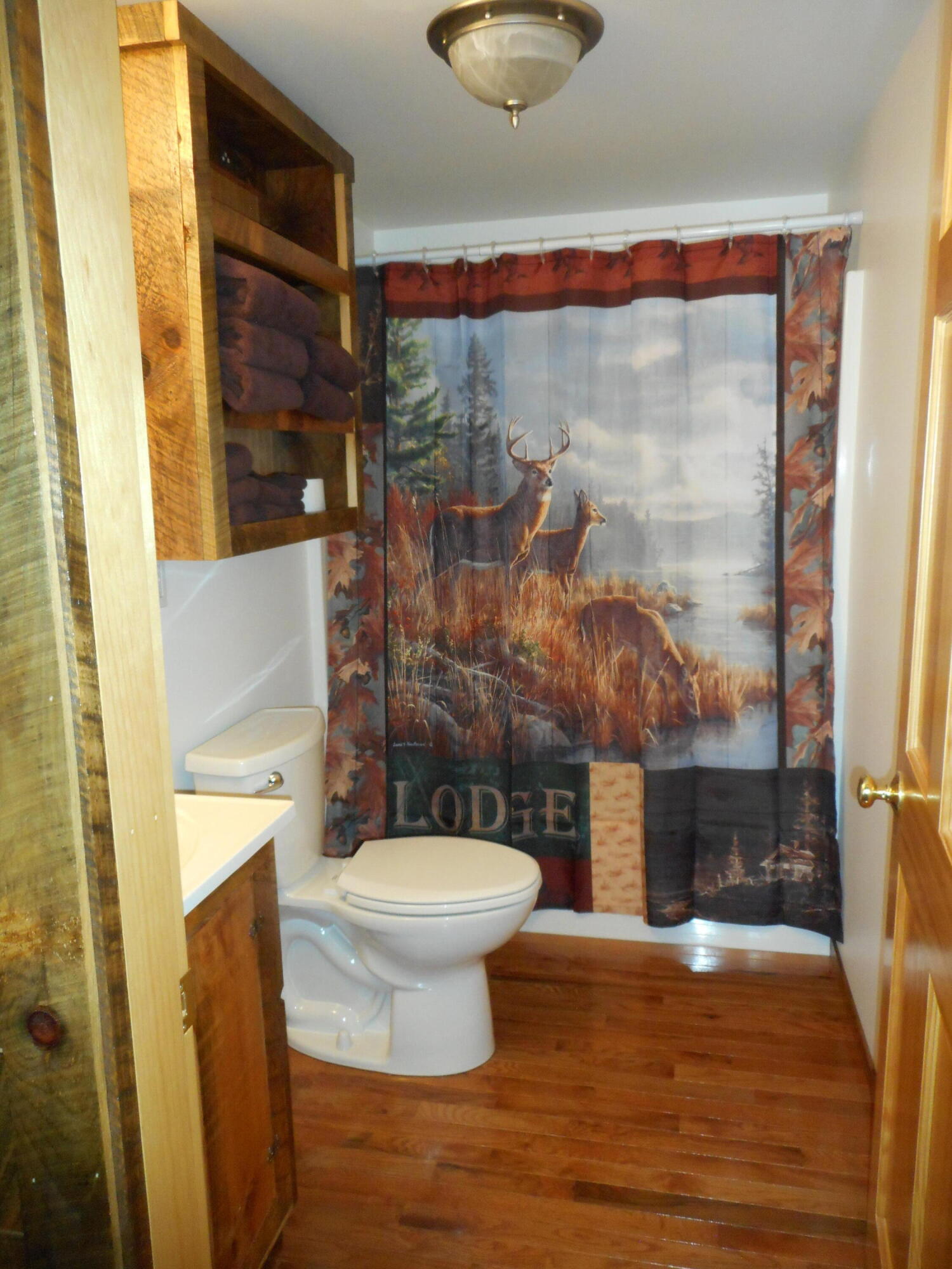 47 Greenville Road Shirley, ME 04485 - Photo 32 of 60 DSCN0210