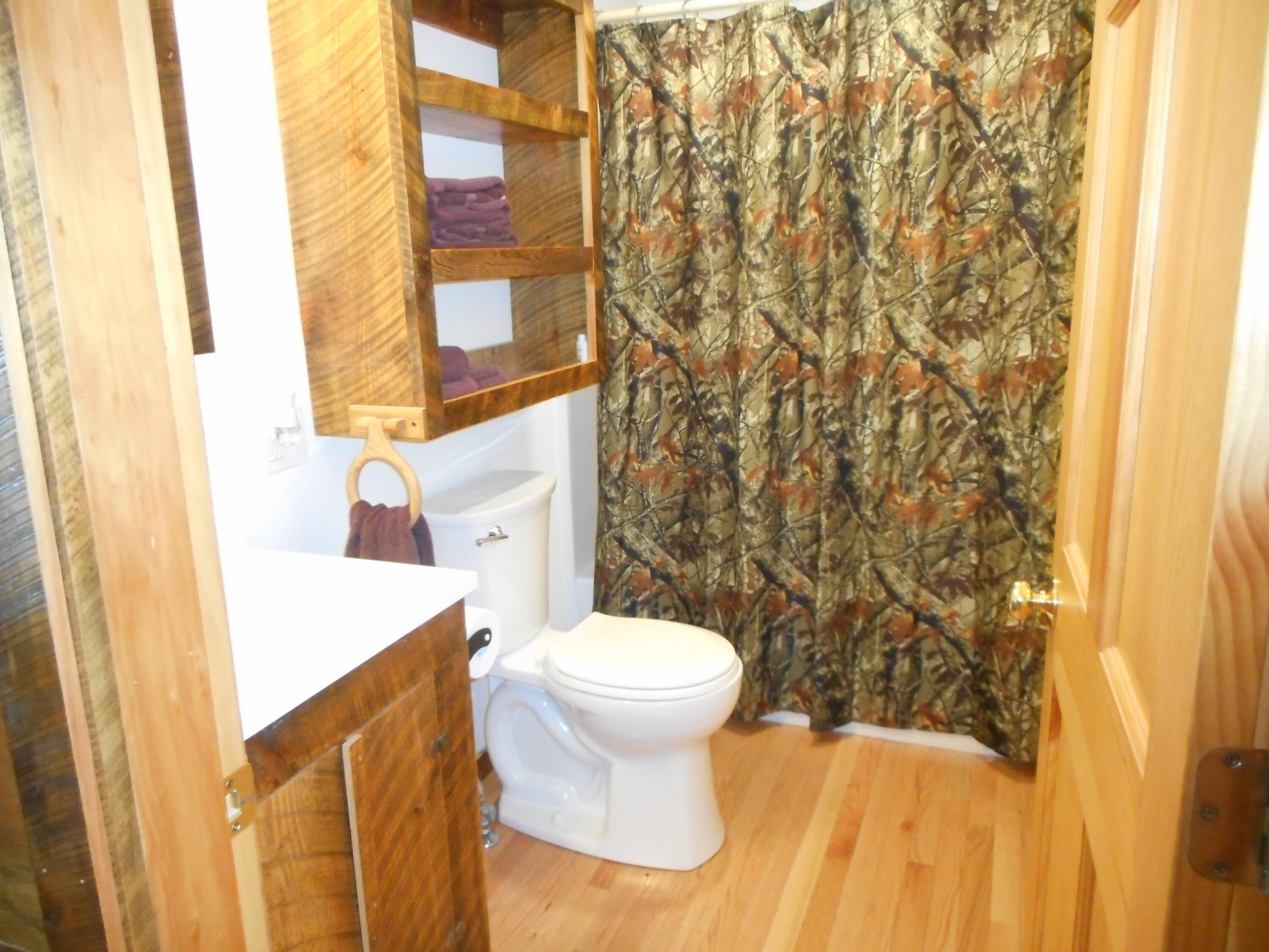 47 Greenville Road Shirley, ME 04485 - Photo 33 of 60 DSCN0389