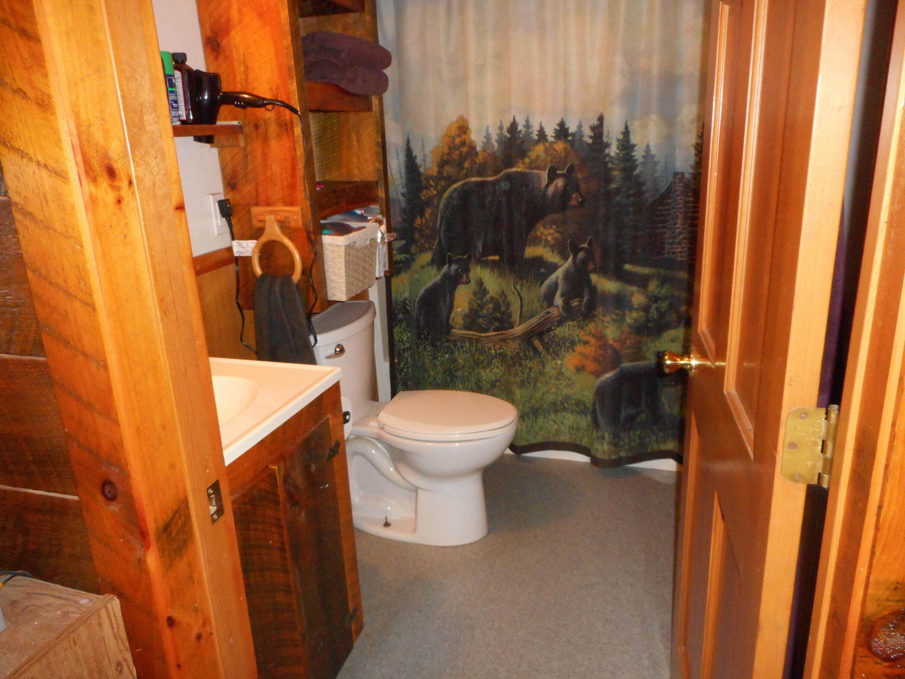 47 Greenville Road Shirley, ME 04485 - Photo 35 of 60 DSCN0399