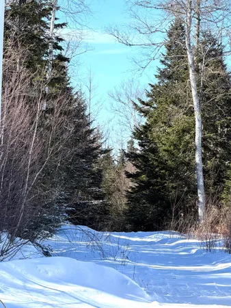 $2,650,000 | 47 Greenville Road, Shirley, ME 04485