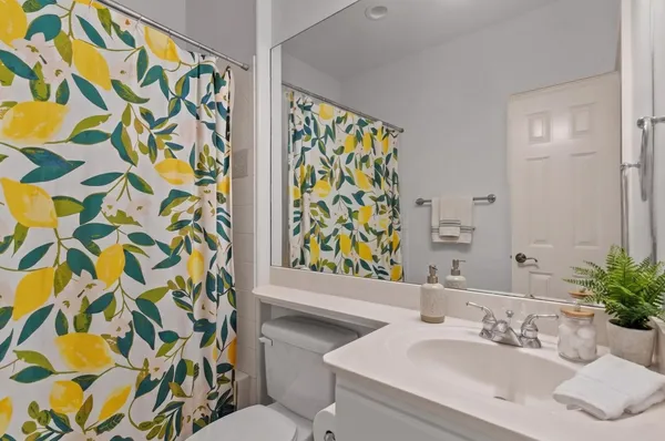 $3,250 | 1007 Crocker Street, Houston, TX 77019
