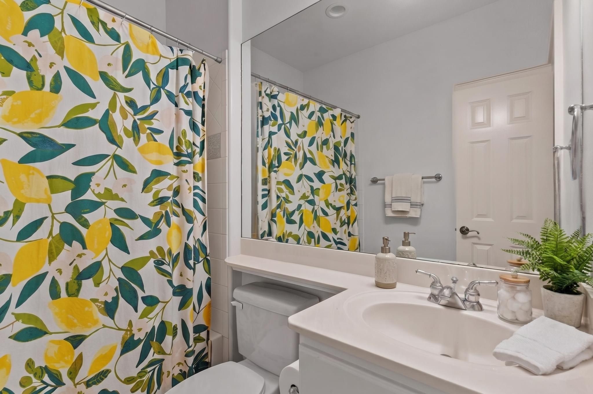 1007 Crocker Street Houston, TX 77019 - Photo 10 of 13 a bathroom with a sink and a mirror