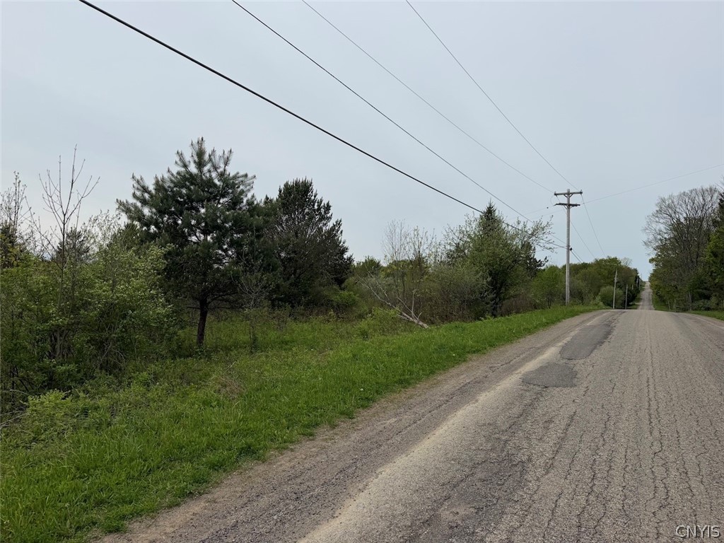 Reynolds Road Franklinville, NY 14737 - Photo 36 of 38