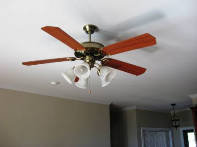 35 Pungo View Road Belhaven, NC 27810 - Photo 9 of 24 Additional Photo