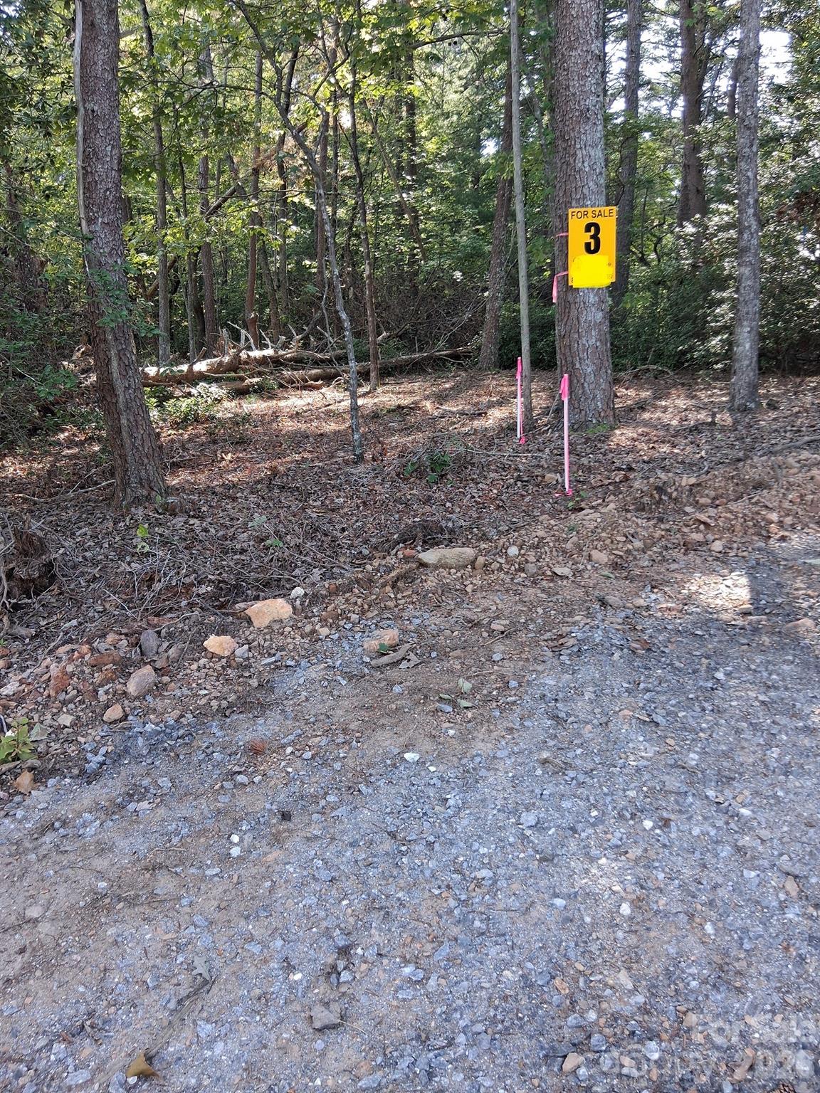 Tbd Gus Peeler Road, Unit 2 Connelly Springs, NC 28612 - Photo 16 of 17 Gallery Image 16