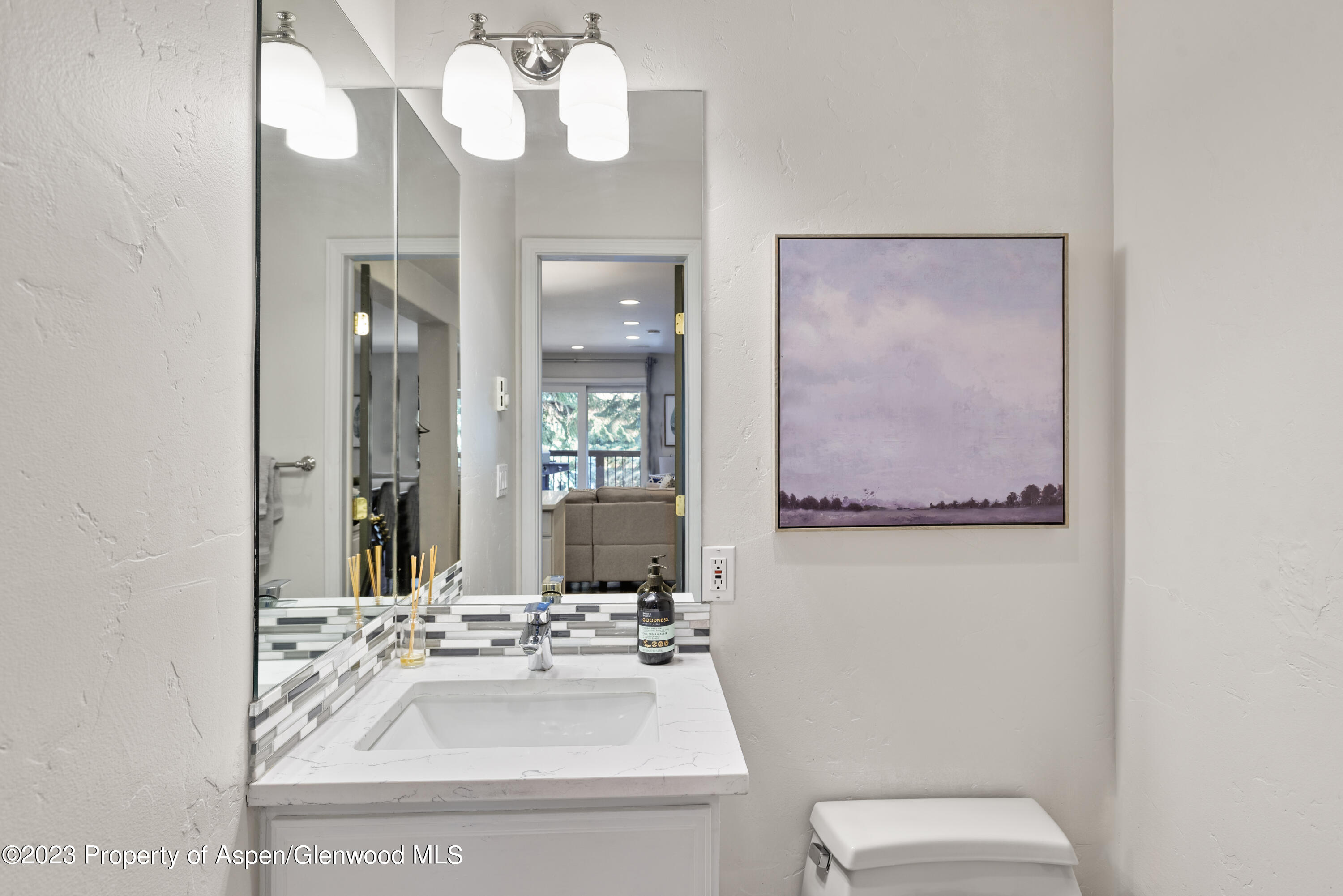 650 South Monarch Street, Unit 2 Aspen, CO 81611 - Photo 15 of 21 a bathroom with a sink a toilet and a mirror