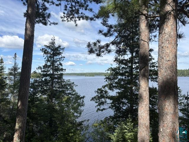Tbd Tbd Powerhouse Trail Ely, MN 55731 - Photo 14 of 16