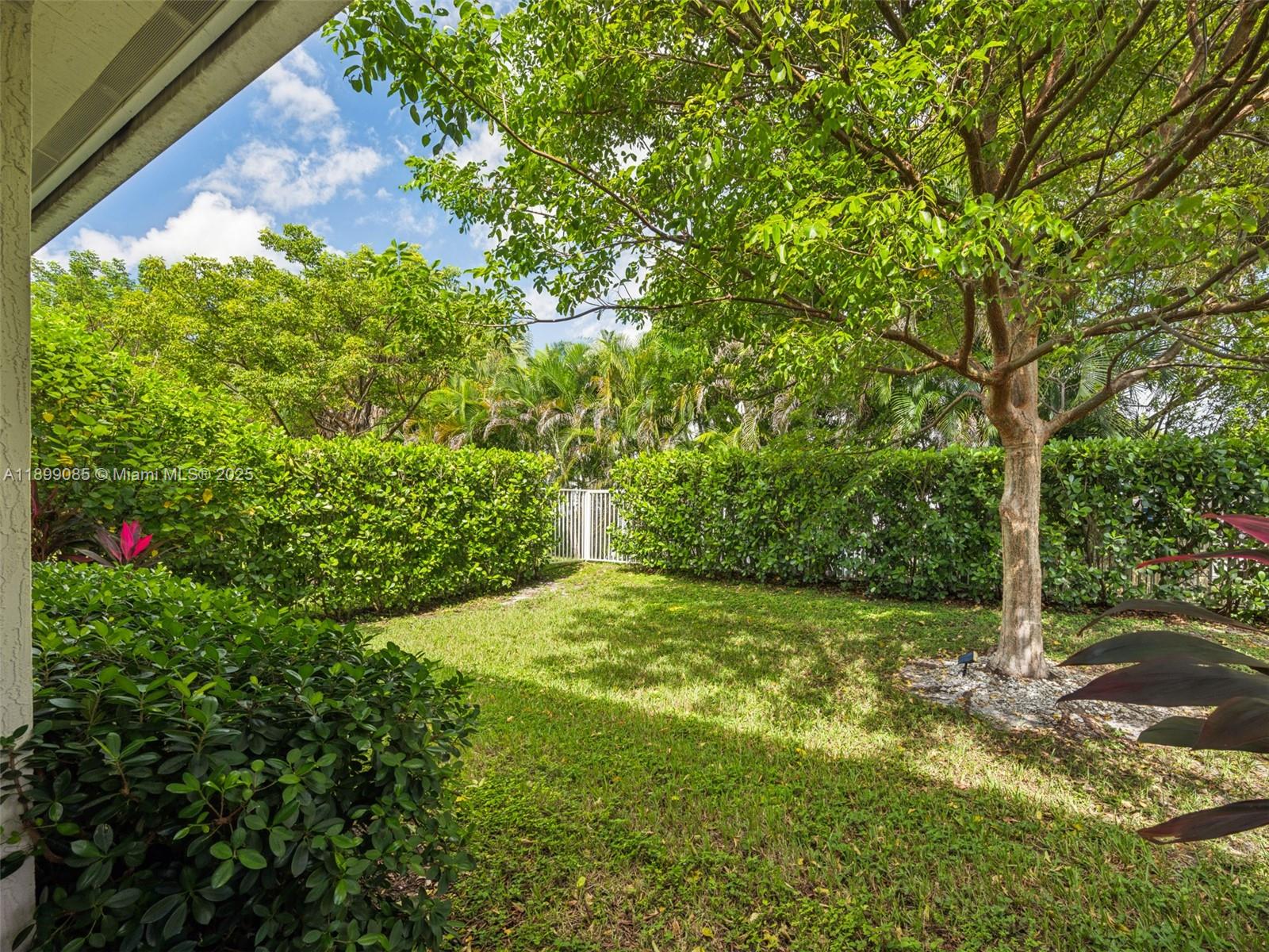 4325 Large Leaf Lane Hollywood, FL 33021 - Photo 47 of 72 a view of yard with green space