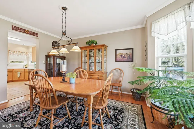 a dining room with furniture window and wooden floor
