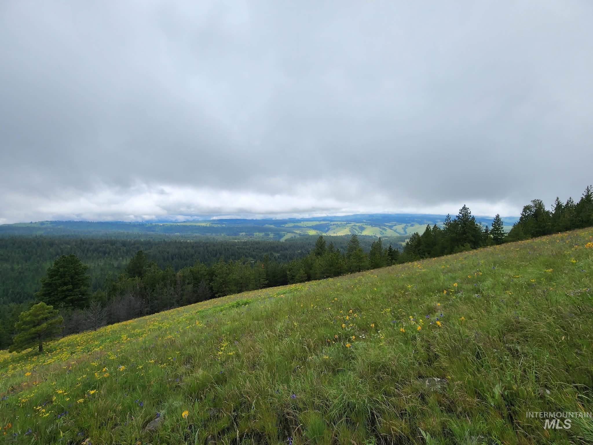 Lot 91 Pilgrim Ridge Road White Bird, ID 83554 - Photo 34 of 35