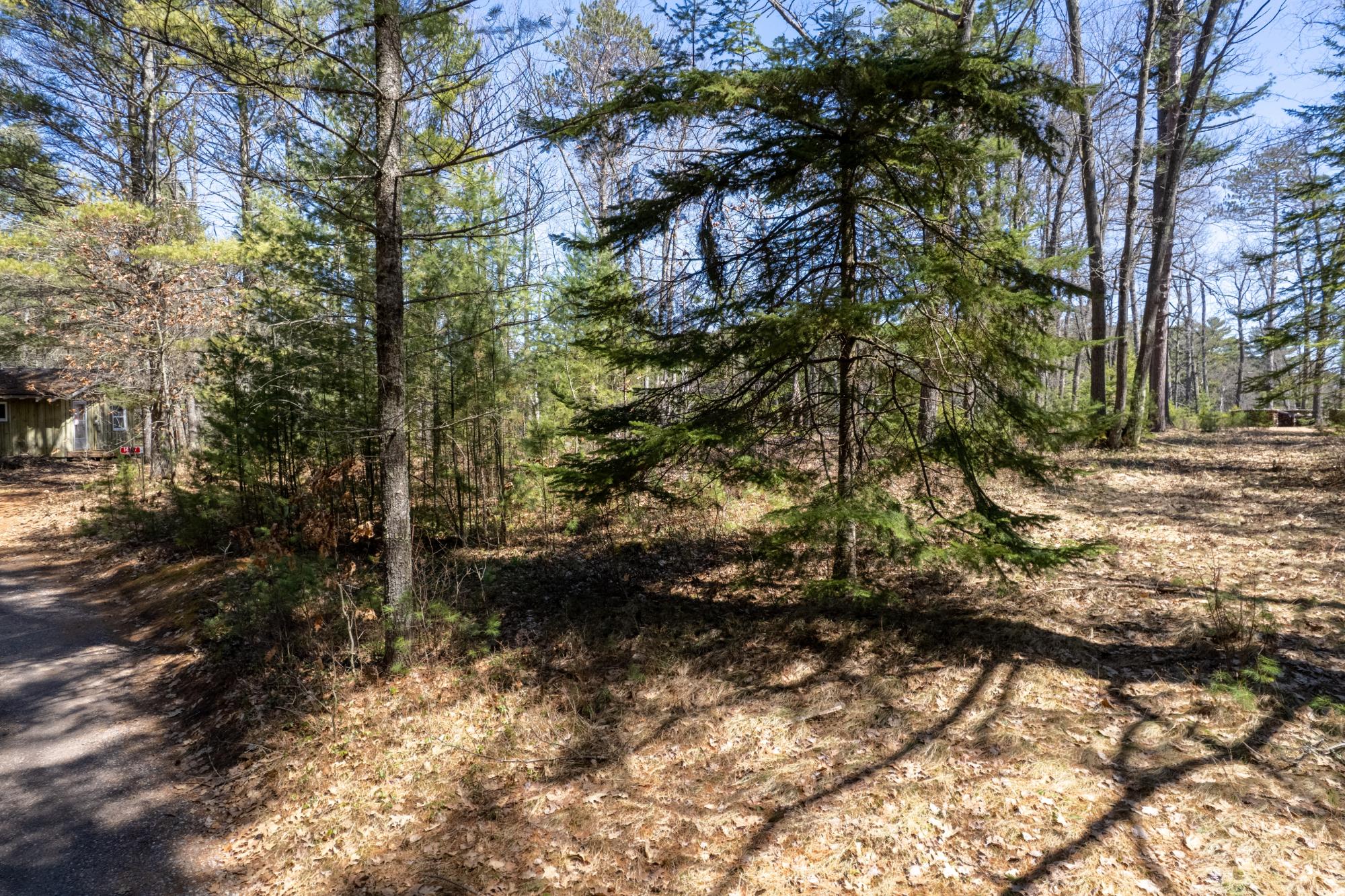 Lot On Marathon Road Manitowish Waters, WI 54545 - Photo 11 of 12 Gallery Image 11