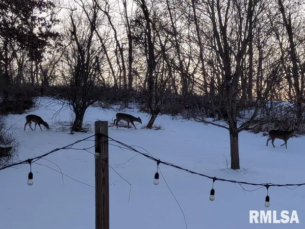 $484,900 | 12628 Towerline Road, Pekin, IL 61554