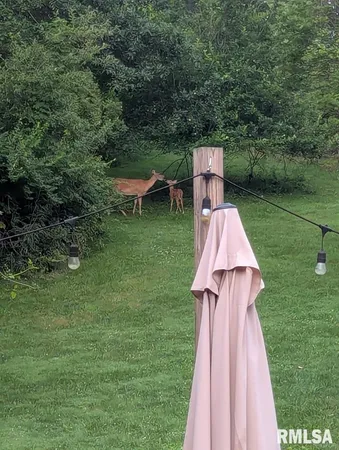 $484,900 | 12628 Towerline Road, Pekin, IL 61554