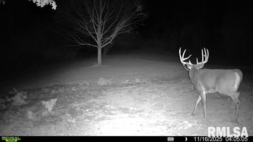 12628 Towerline Road Pekin, IL 61554 - Photo 7 of 14