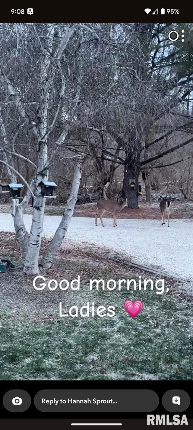 12628 Towerline Road Pekin, IL 61554 - Photo 8 of 14