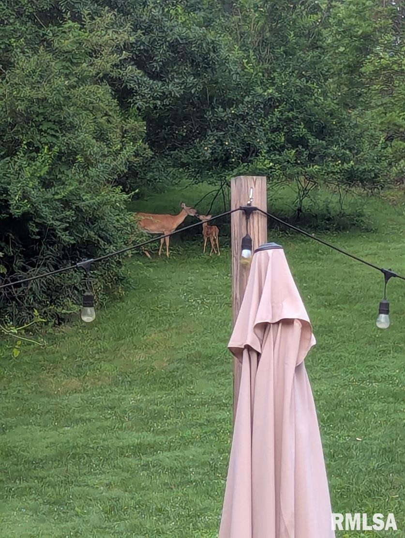 12628 Towerline Road Pekin, IL 61554 - Photo 9 of 14