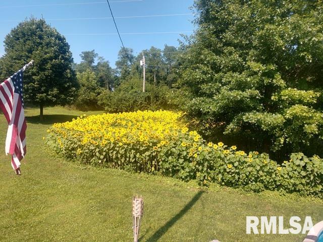 12628 Towerline Road Pekin, IL 61554 - Photo 10 of 14