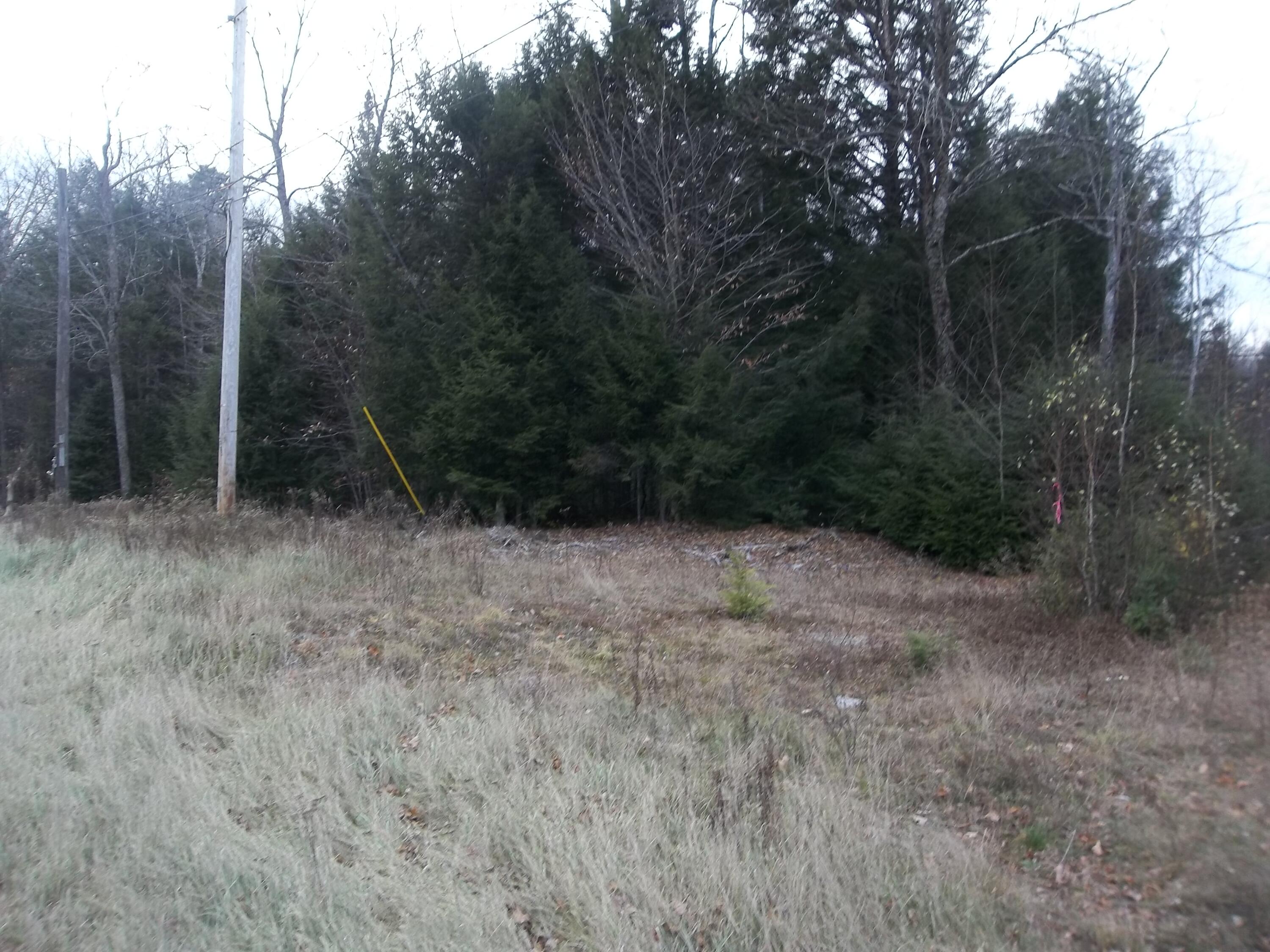 M2-l21 Lakeview Road Topsfield, ME 04490 - Photo 1 of 3 100_1099