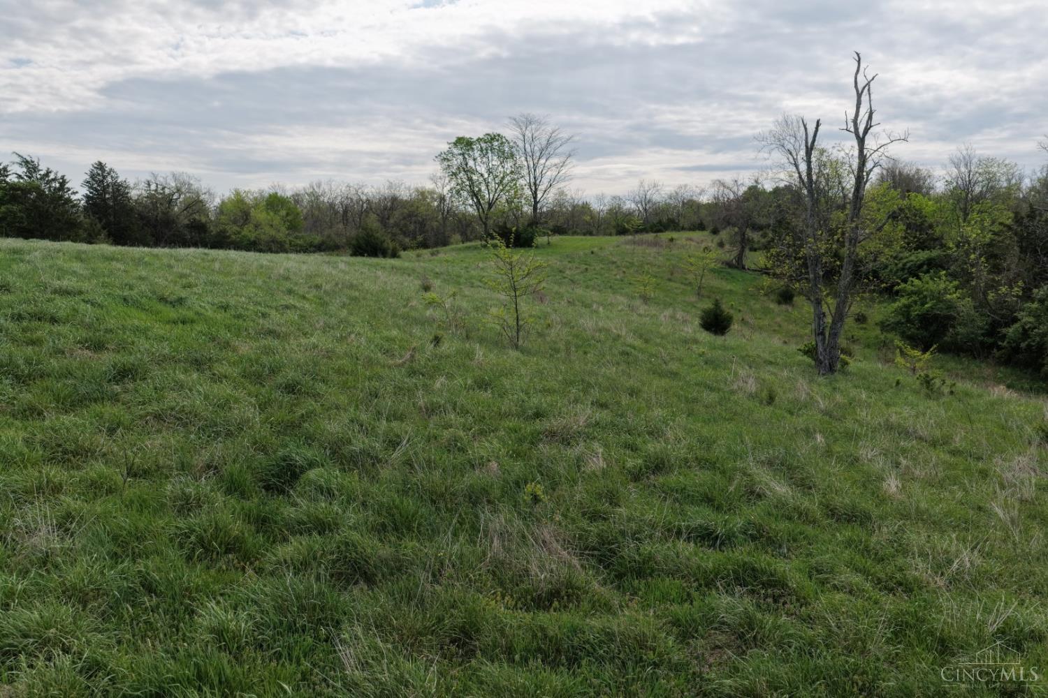 9951 Fishing Gut Road Aberdeen, OH 45101 - Photo 37 of 50