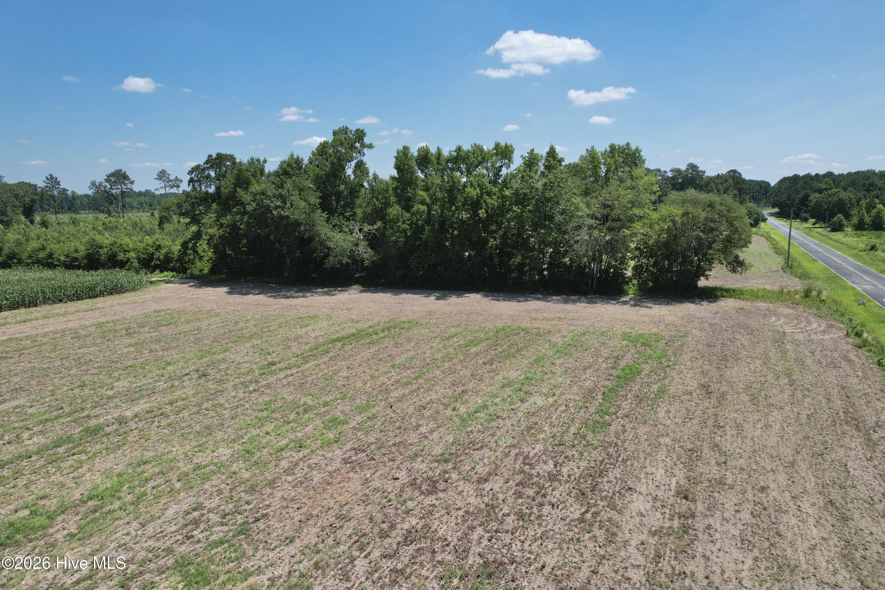 0 Booker Lennon Road Evergreen, NC 28438 - Photo 16 of 28