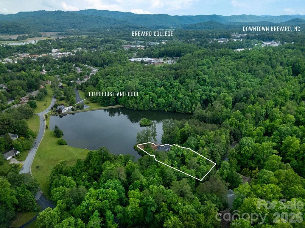 719 Deerlake Road Brevard, NC 28712 - Photo 7 of 40