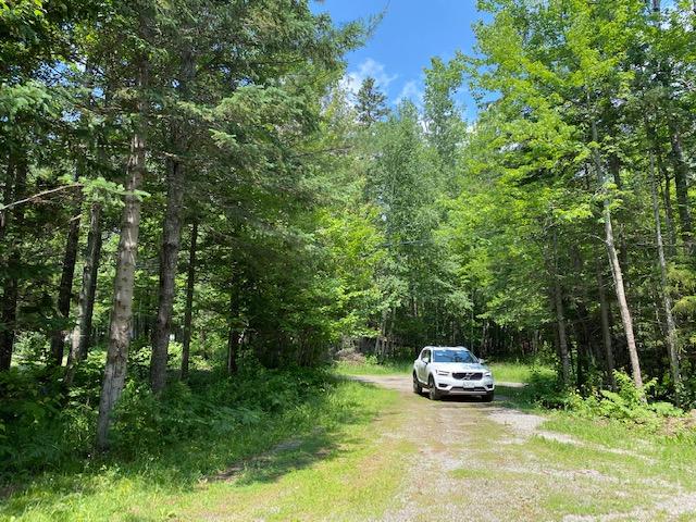 27 Fancys Way Stratton, ME 04982 - Photo 12 of 13 driveway