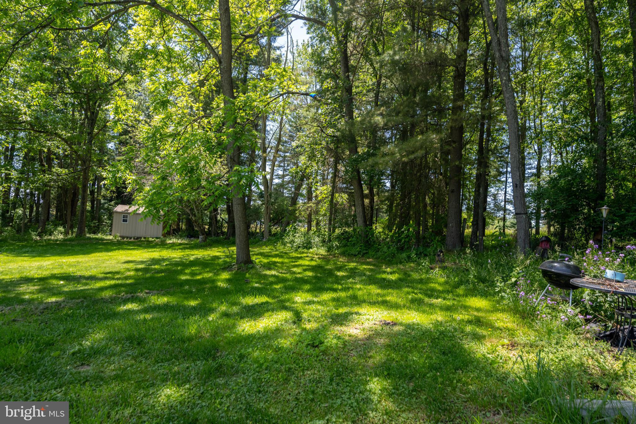 797 Noah Frazee Road Friendsville, MD 21531 - Photo 3 of 64