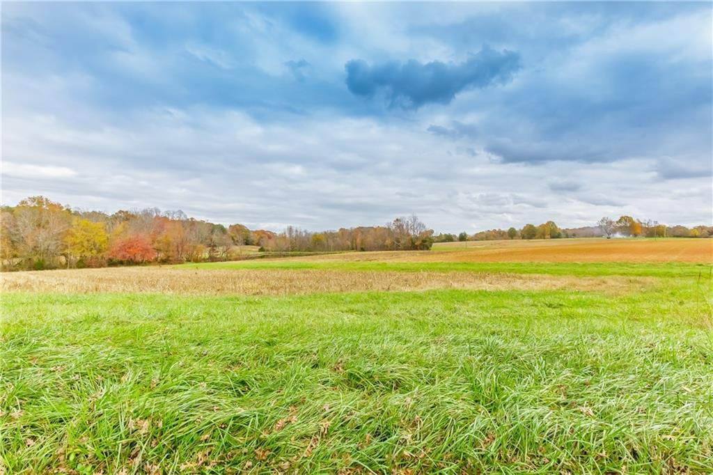 1117 Boone Road Burlington, NC 27217 - Photo 29 of 30 Gallery Image 29
