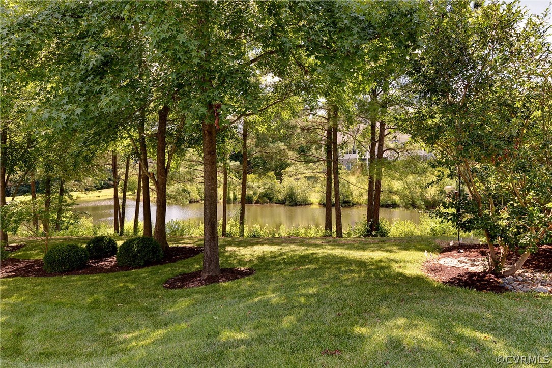 205 Portmarnoch Williamsburg, VA 23188 - Photo 42 of 49 a view of swimming pool and trees in the background