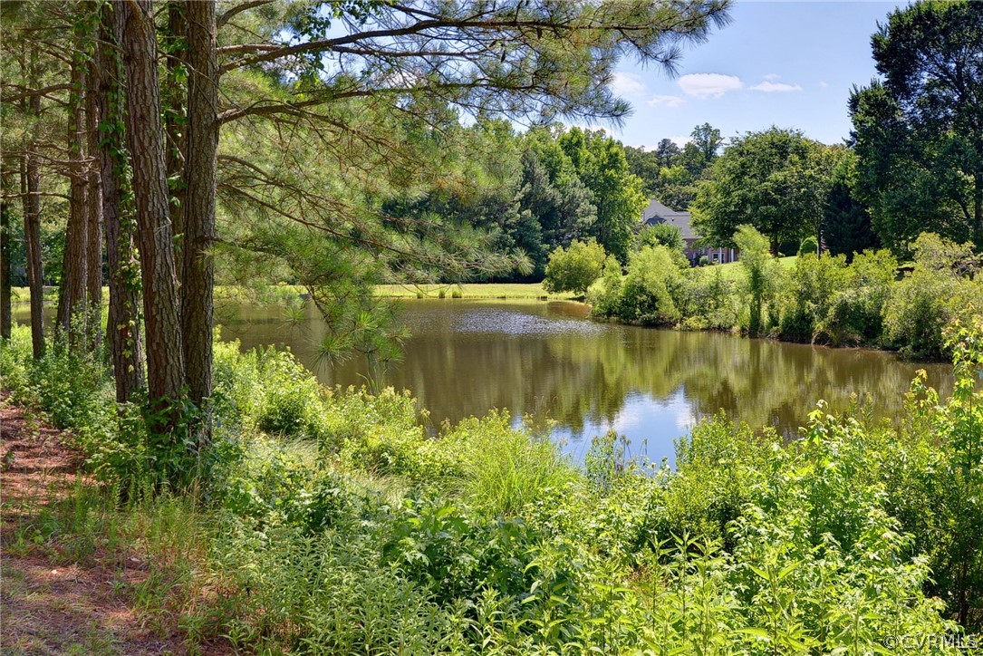 205 Portmarnoch Williamsburg, VA 23188 - Photo 48 of 49 a view of lake