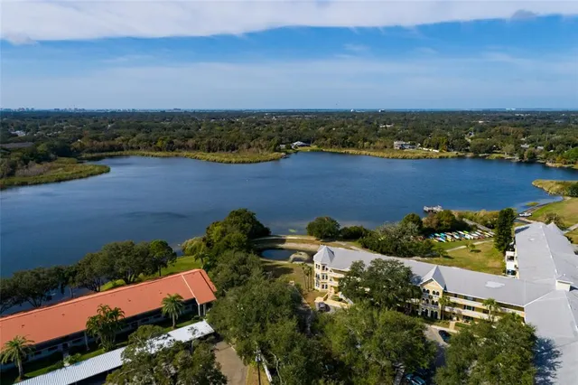a view of a large white house with a large tree