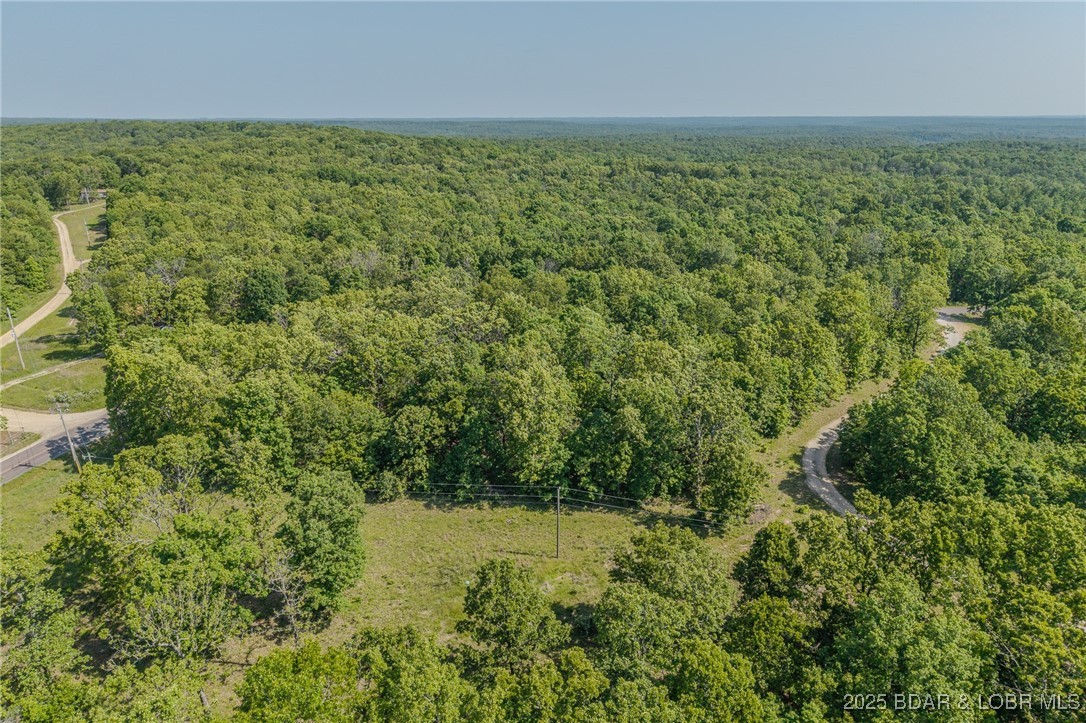 Lot W-2 Ivy Bend Road Stover, MO 65078 - Photo 4 of 11