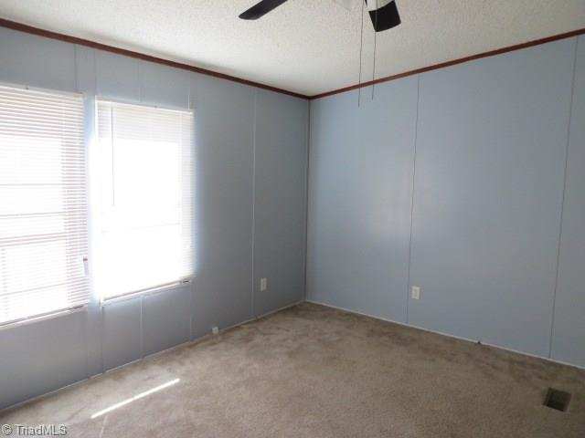 1071 Roy Tuttle Road Pinnacle, NC 27043 - Photo 8 of 13