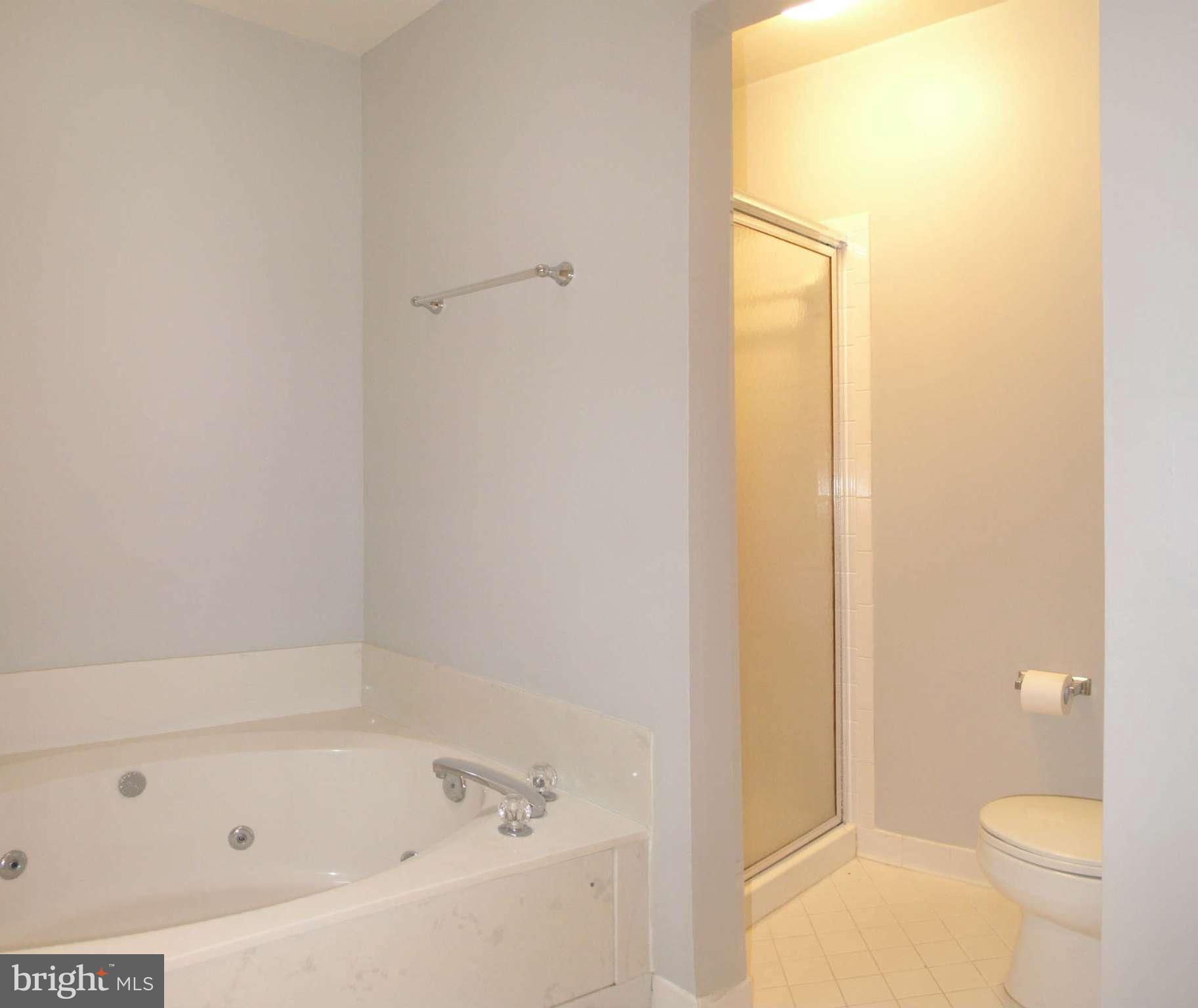 1323 Wedgewood Manor Way Reston, VA 20194 - Photo 17 of 30 Bath (Master)