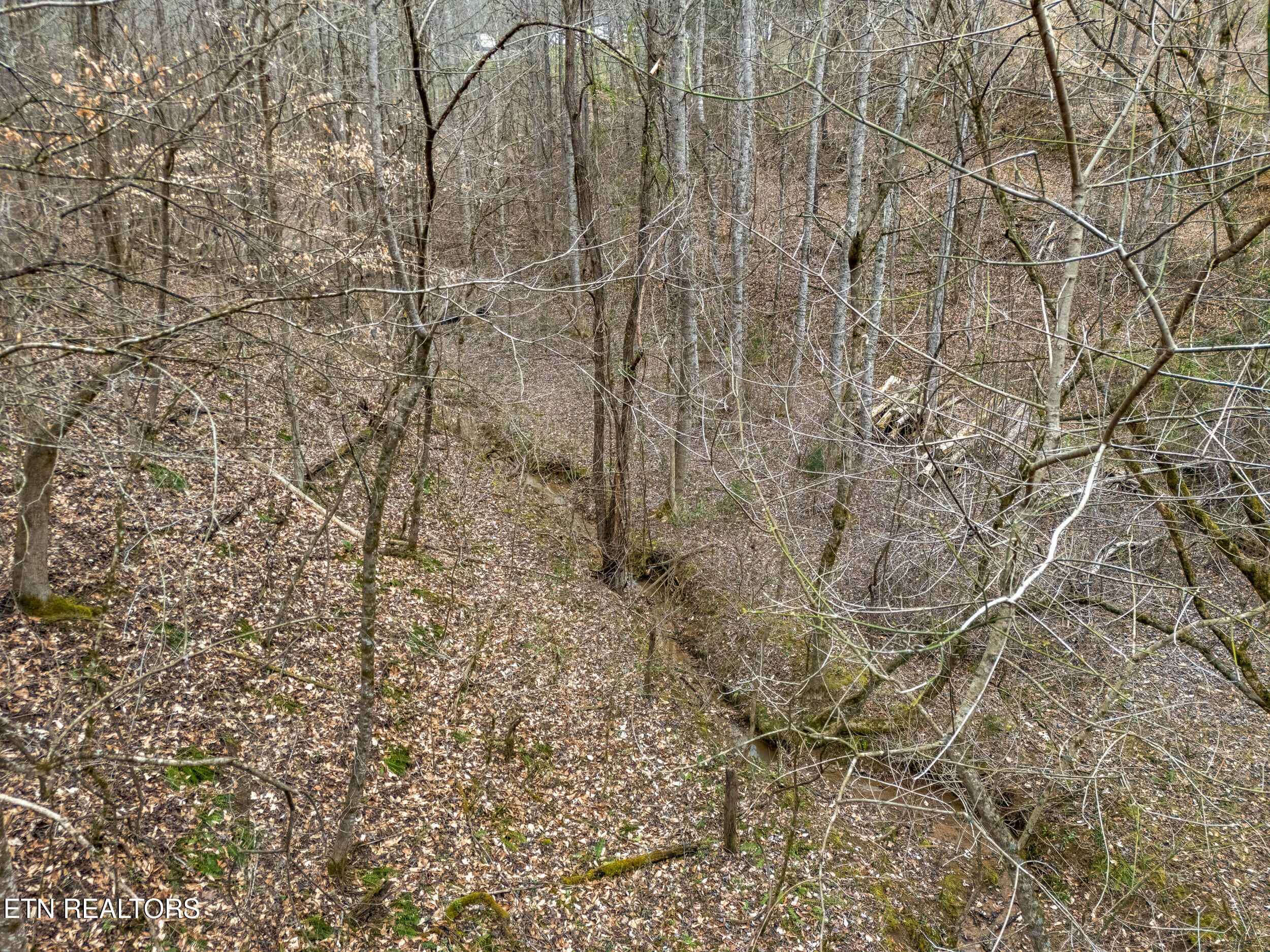 George Harrison Way Seymour, TN 37865 - Photo 11 of 34 george harrison way lot-11