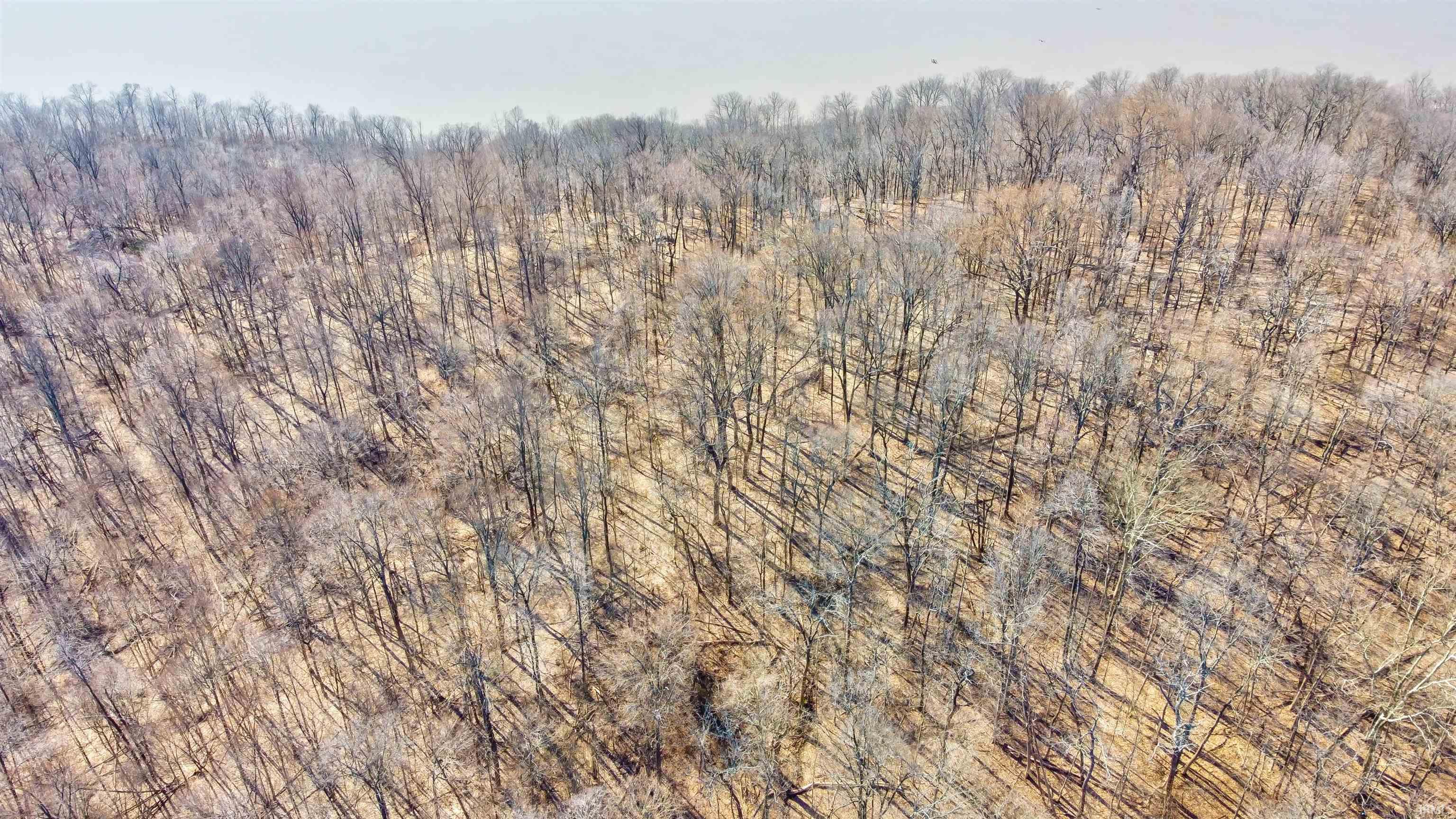 7860 In-166 Cannelton, IN 47520 - Photo 11 of 29