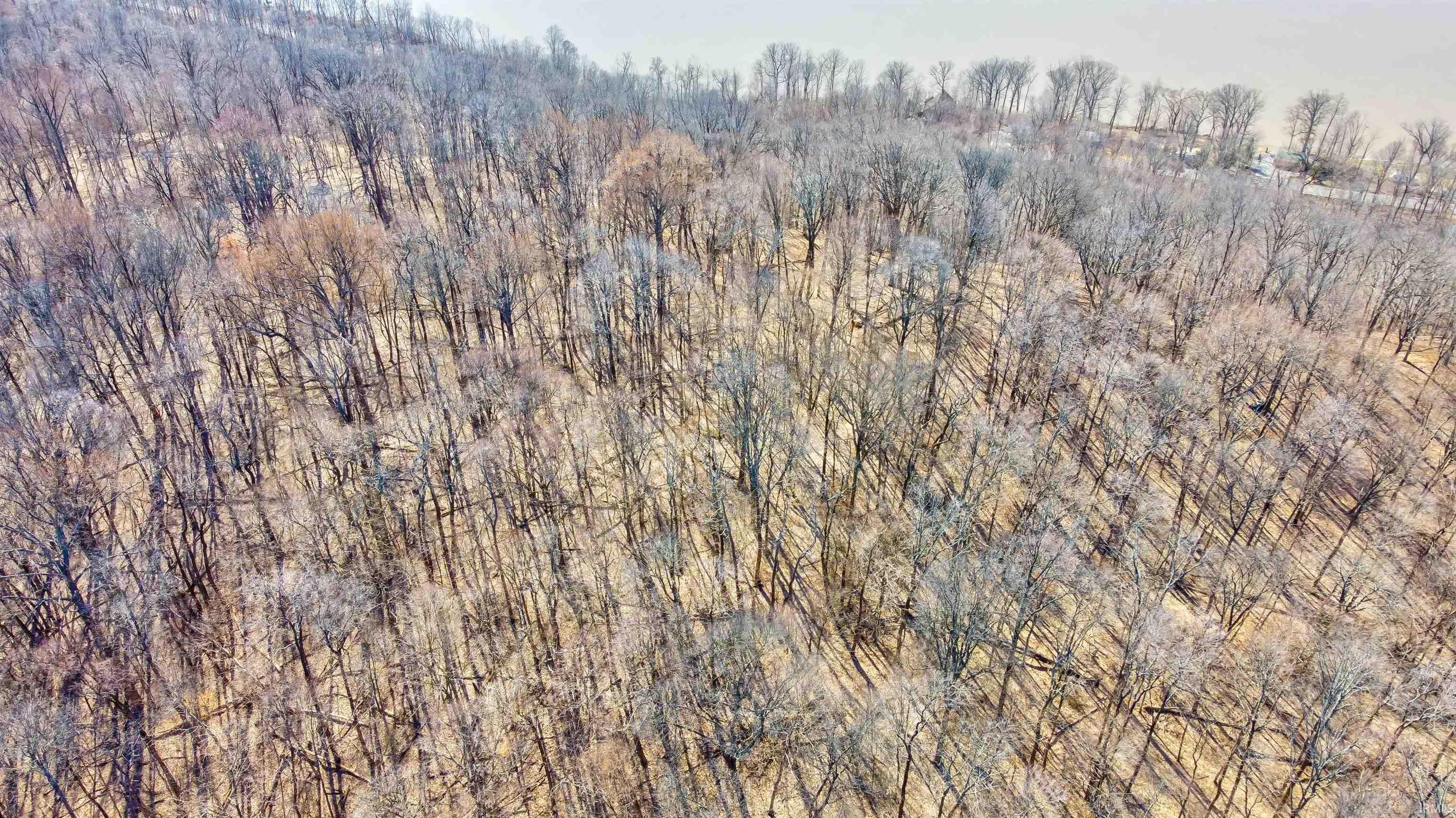 7860 In-166 Cannelton, IN 47520 - Photo 13 of 29