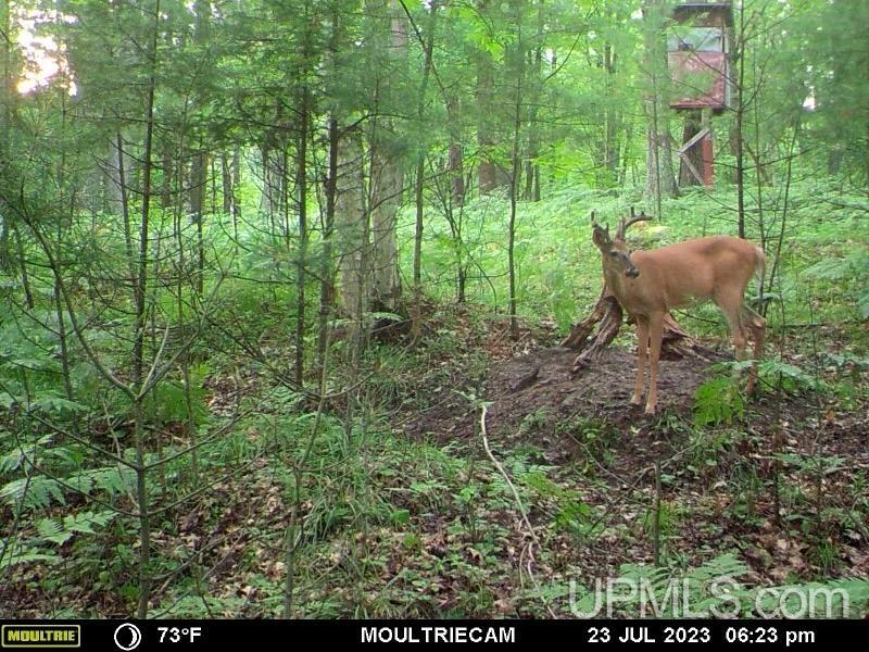 T-wi Birch Hill Road Amberg, WI 54102 - Photo 12 of 21