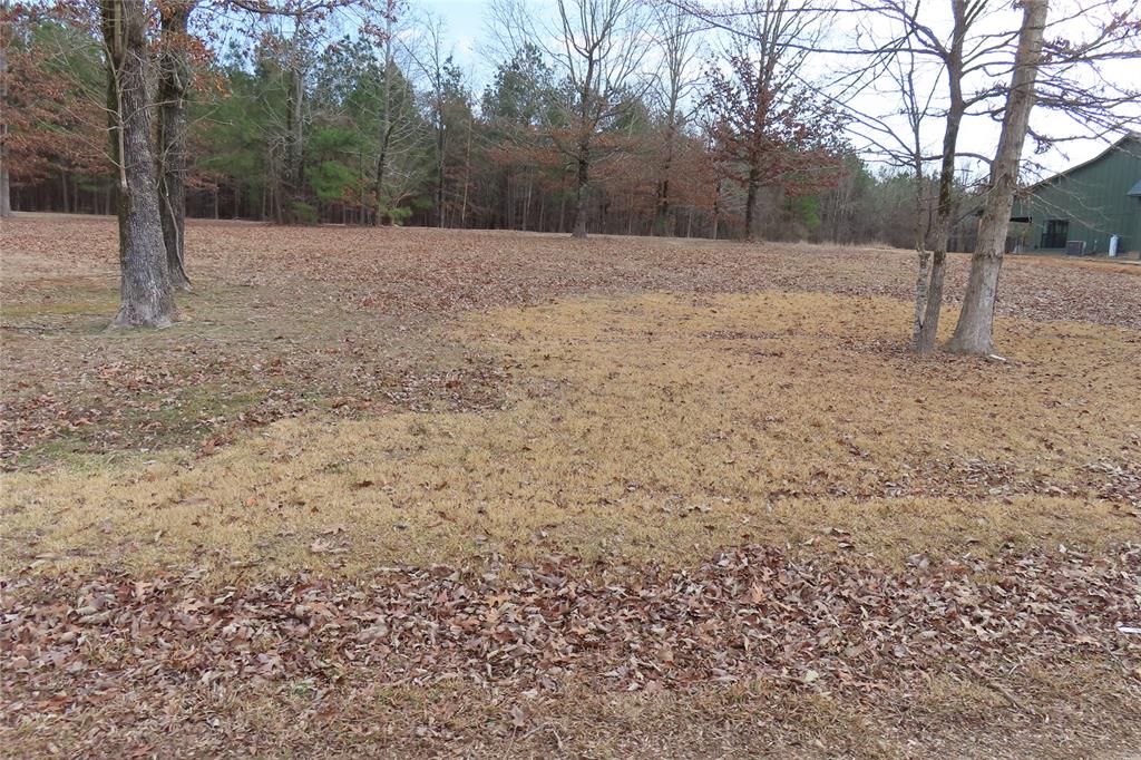 0 Water's Edge Taylor, AR 71861 - Photo 1 of 1 a view of backyard space