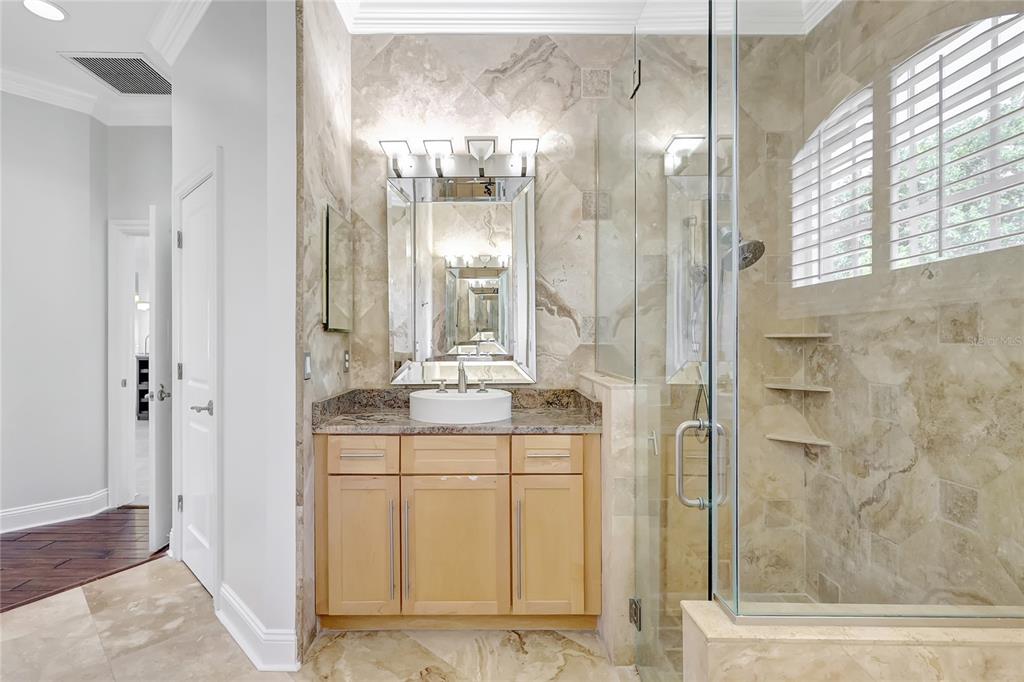 2863 Duncan Tree Circle Valrico, FL 33594 - Photo 48 of 53 a bathroom with a granite countertop sink a mirror and a shower