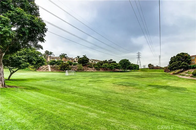 a view of green field