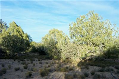 101 Rattlesnake Road Ash Fork, AZ 86320 - Photo 5 of 10 Additional Photo