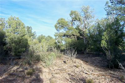 101 Rattlesnake Road Ash Fork, AZ 86320 - Photo 8 of 10 Additional Photo