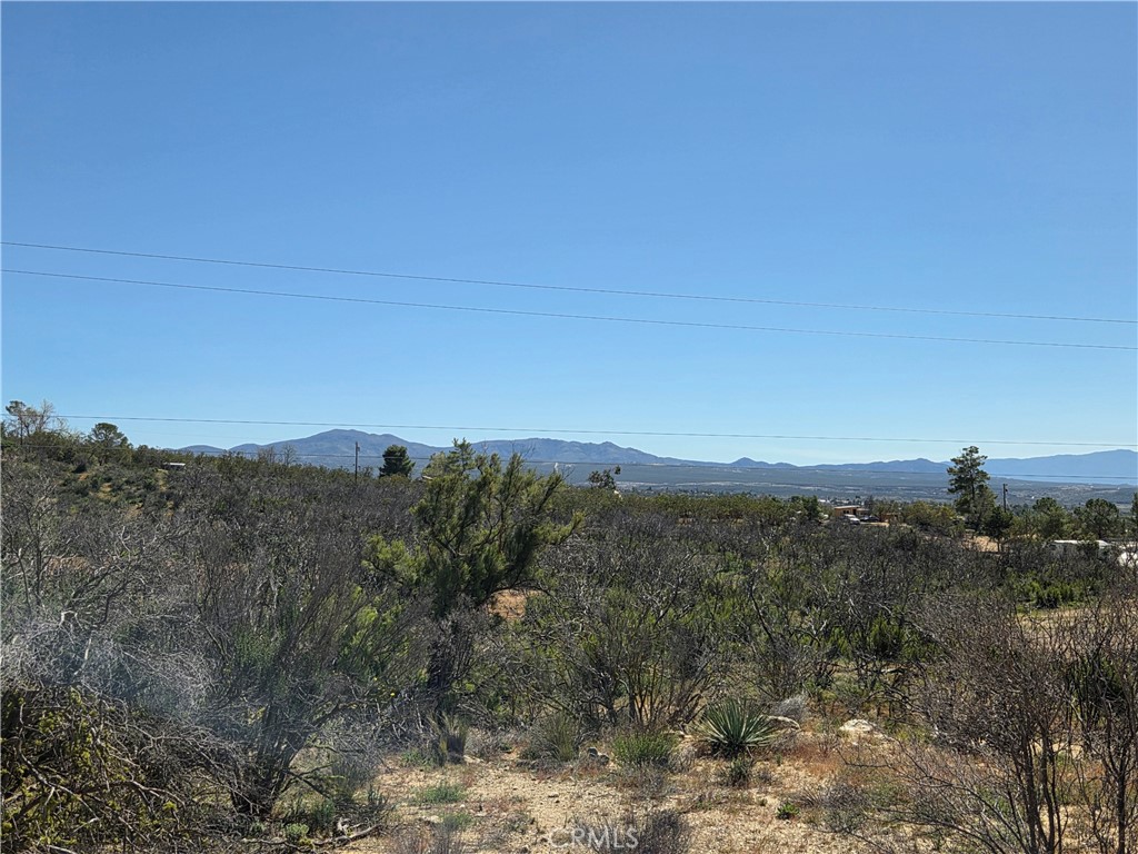 0 Howard Road Anza, CA 92539 - Photo 6 of 10 a view of a mountain range with trees