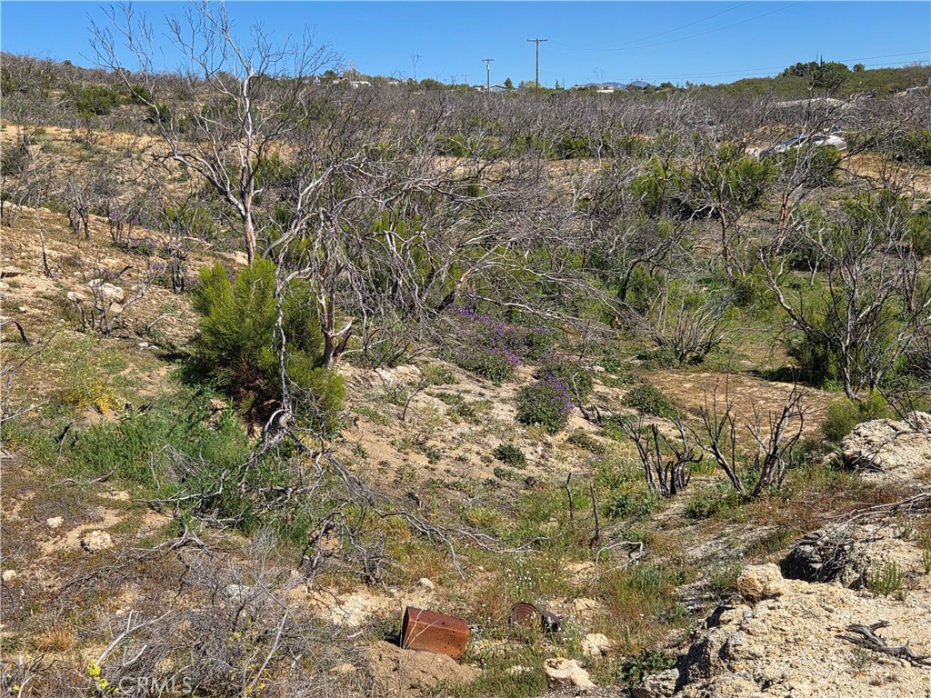 0 Howard Road Anza, CA 92539 - Photo 7 of 10 a view of a dry yard with mountains in the background