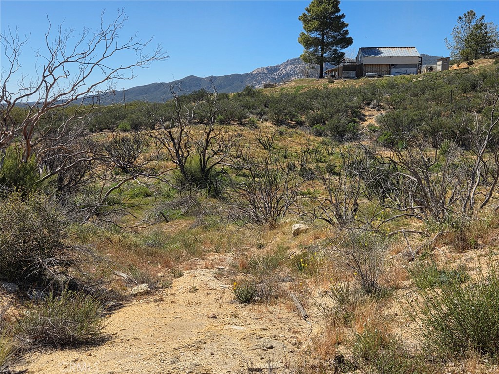 0 Howard Road Anza, CA 92539 - Photo 10 of 10 a view of a dry yard with wooden fence